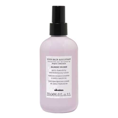 Средство для укладки волос Davines Your Hair Assistant Blowdry Primer 250 мл в Оптима